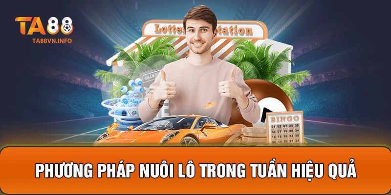 Phương pháp nuôi lô trong tuần hiệu quả