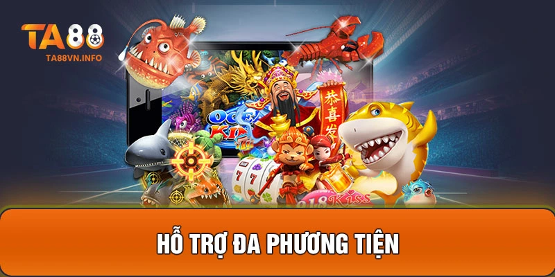 Hỗ trợ đa phương tiện