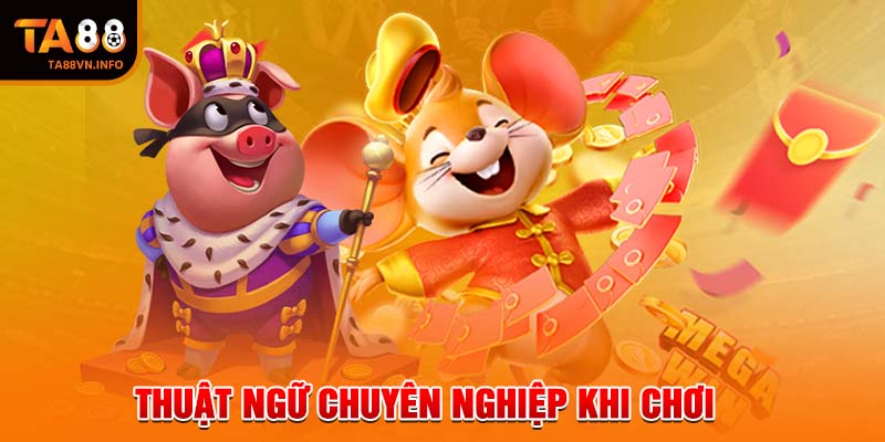 Thuật ngữ chuyên nghiệp khi chơi 